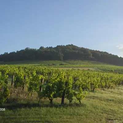 La maison du vigneron