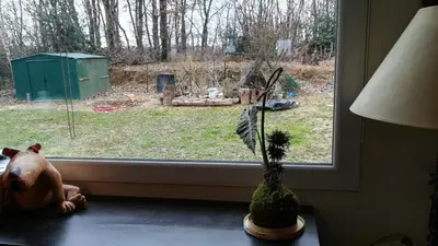 Jardin de l'établissement Maison Anthémis
