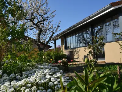 Jardin de l'établissement Gîte familial spacieux et lumineux à Chazelles-sur-Lyon - FR-1-496-203