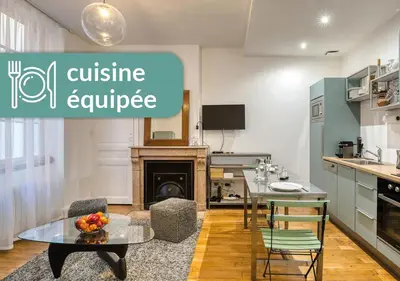 Cuisine ou kitchenette dans l'établissement Cosy Appartement Lyon Valmy - parking