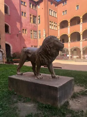 Plan de l'établissement Coeur Vieux Lyon