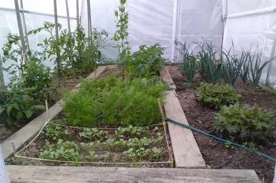Jardin de l'établissement Gîte de charme 4 étoiles - Campagne