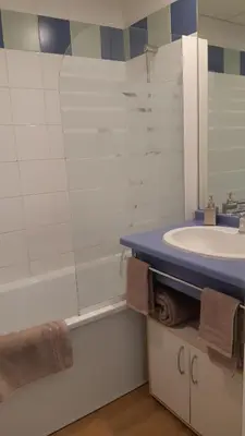 Salle de bains dans l'établissement Berge du Rhône, Centre Lyon, espace de travail, tout à pied, Université Lyon 2 et Lyon 3, idéal voyage d'affaires, tourisme, loisirs