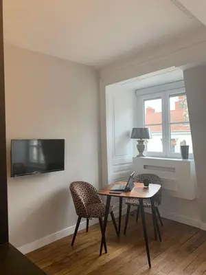 Télévision ou salle de divertissement dans l'établissement Celect'In Lyon Suites climatisées SkyView