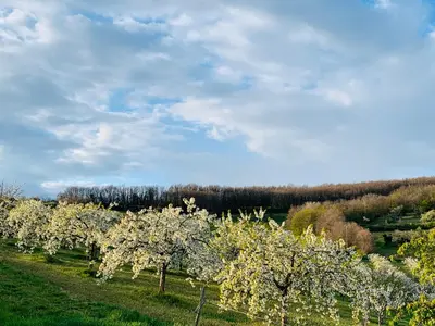 Paysage naturel près de le séjour chez l'habitant