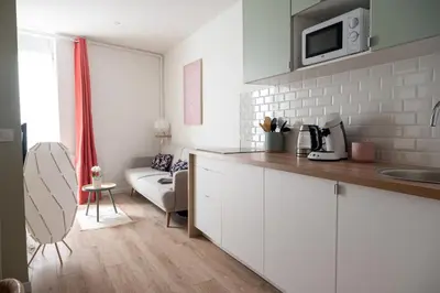 Cuisine ou kitchenette dans l'établissement Appartement à Vienne