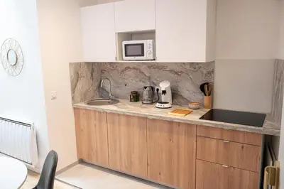 Cuisine ou kitchenette dans l'établissement Appartement à Vienne