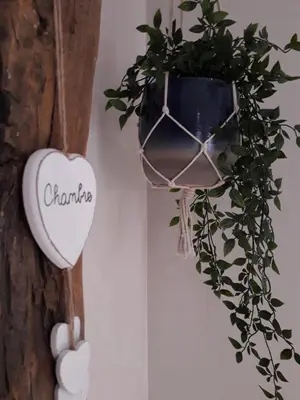 Plan de l'établissement Appartement cosy au coeur du Beaujolais