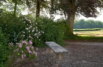 Jardin de l'établissement Château de Joyeux - Gîtes