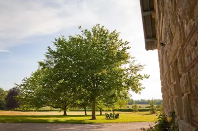 Jardin de l'établissement Château de Joyeux - Gîtes