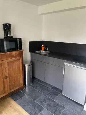 Cuisine ou kitchenette dans l'établissement Les studios de l'Horloge