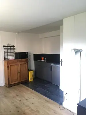 Cuisine ou kitchenette dans l'établissement Les studios de l'Horloge