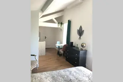 Cuisine ou kitchenette dans l'établissement Studio sous les toits