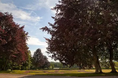 Plan de l'établissement Chateau de Joyeux - Chambres d'Hotes