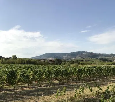 Paysage naturel près de la maison de vacances