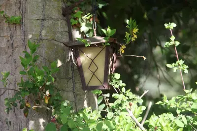 Jardin de l'établissement l'Ancre Vive
