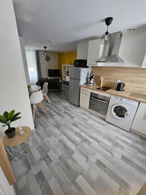 Cuisine ou kitchenette dans l'établissement Appartements entiers proche Aéroport - ZAC Chesnes - CNPE du Bugey Check-In 24h7J