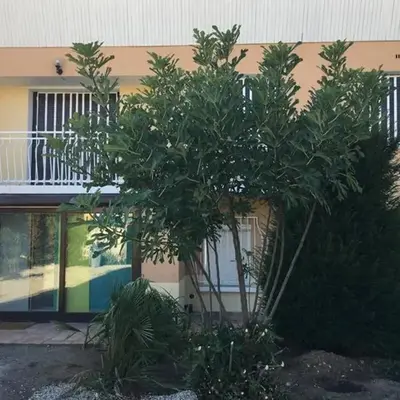 Irigny: Maison calme à 10 minutes de Lyon
