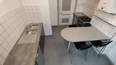 Cuisine ou kitchenette dans l'établissement Appart - Hotel La Batisse de Saint-Chamond