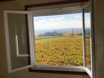 Paysage naturel près de l'appartement