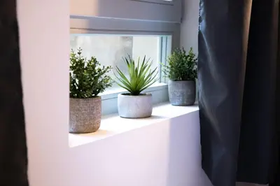 Plan de l'établissement Le St Germain - Pétillant studio décoré avec goût en centre-ville