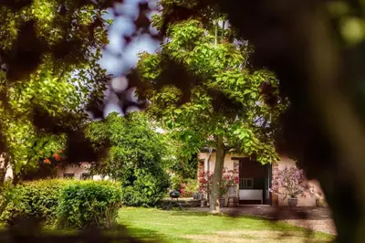Jardin de l'établissement Les Barelles