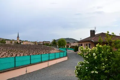 Jardin de l'établissement Domaine du Barvy