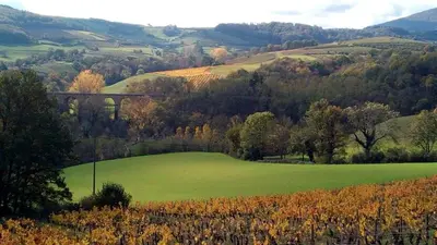Paysage naturel près de la maison de vacances