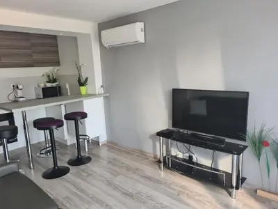 Télévision ou salle de divertissement dans l'établissement spacieux studio dans le Beaujolais