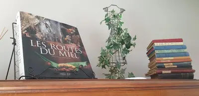 Bibliothèque dans le B&B/chambre d'hôtes