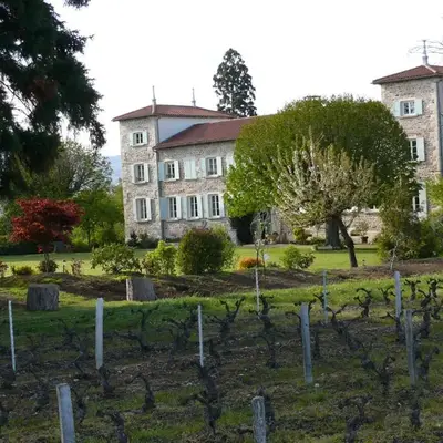 Château de Grandmont - Escale authentique au coeur des vignes