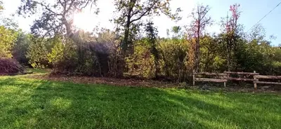 Jardin de l'établissement Le Gîte du Chat Nature et Calme à la campagne