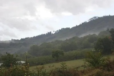 Paysage naturel près de le B&B/chambre d'hôtes