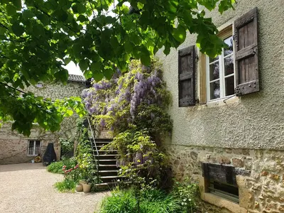 Jardin de l'établissement VILLA VILLOU