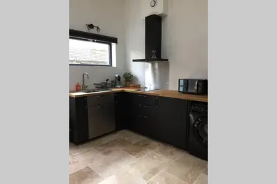Cuisine ou kitchenette dans l'établissement Studio Moderne