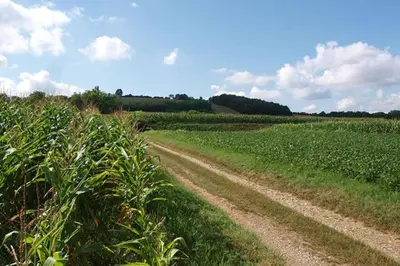 Paysage naturel près de l'appartement