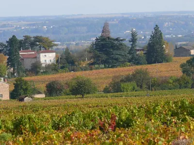 Paysage naturel près de la maison de vacances