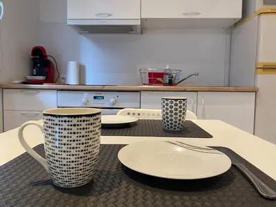 Cuisine ou kitchenette dans l'établissement Logement proche Lyon-aéroport-Centrale Bugey