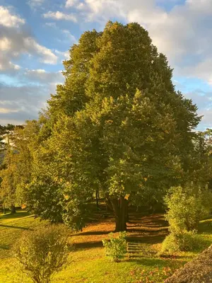 Jardin de l'établissement Castel serein