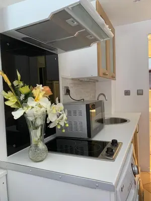 Cuisine ou kitchenette dans l'établissement Joli studio tout confort avec toutes commodités