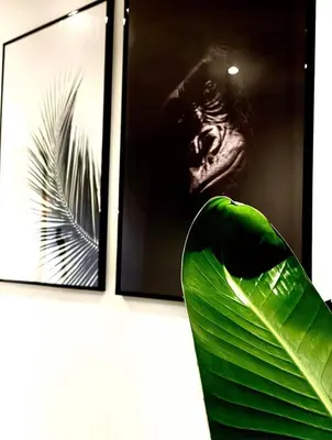 Plan de l'établissement Jungle garage privé netflix