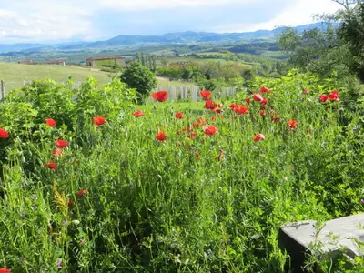 Paysage naturel près de l'appartement