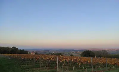 Paysage naturel près de le B&B/chambre d'hôtes