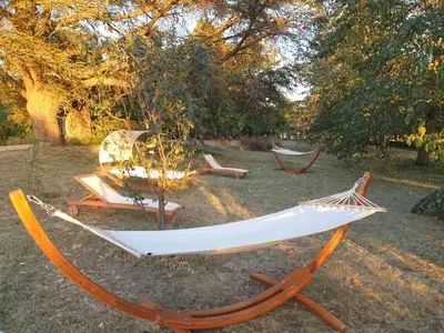 Jardin de l'établissement Château de Saint Bonnet les Oules