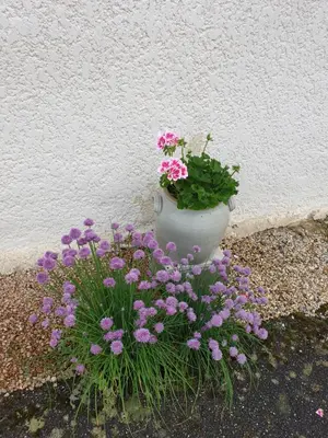 Jardin de l'établissement Au Grés du Vent