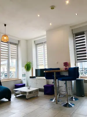 Coin salon dans l'établissement joli appart au centre de Lyon