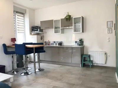 Cuisine ou kitchenette dans l'établissement joli appart au centre de Lyon