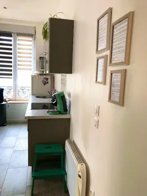 Cuisine ou kitchenette dans l'établissement joli appart au centre de Lyon