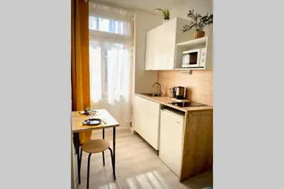 Cuisine ou kitchenette dans l'établissement STUDIO VAISE 3 CENTRE à LYON 69009