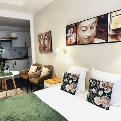 Studio ZEN cosy gare part dieu